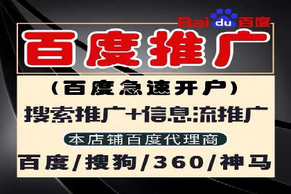案例回顾：SEM托管助力企业实现快速扩张